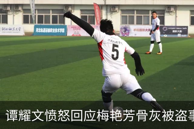 谭耀文愤怒回应梅艳芳骨灰被盗事件！